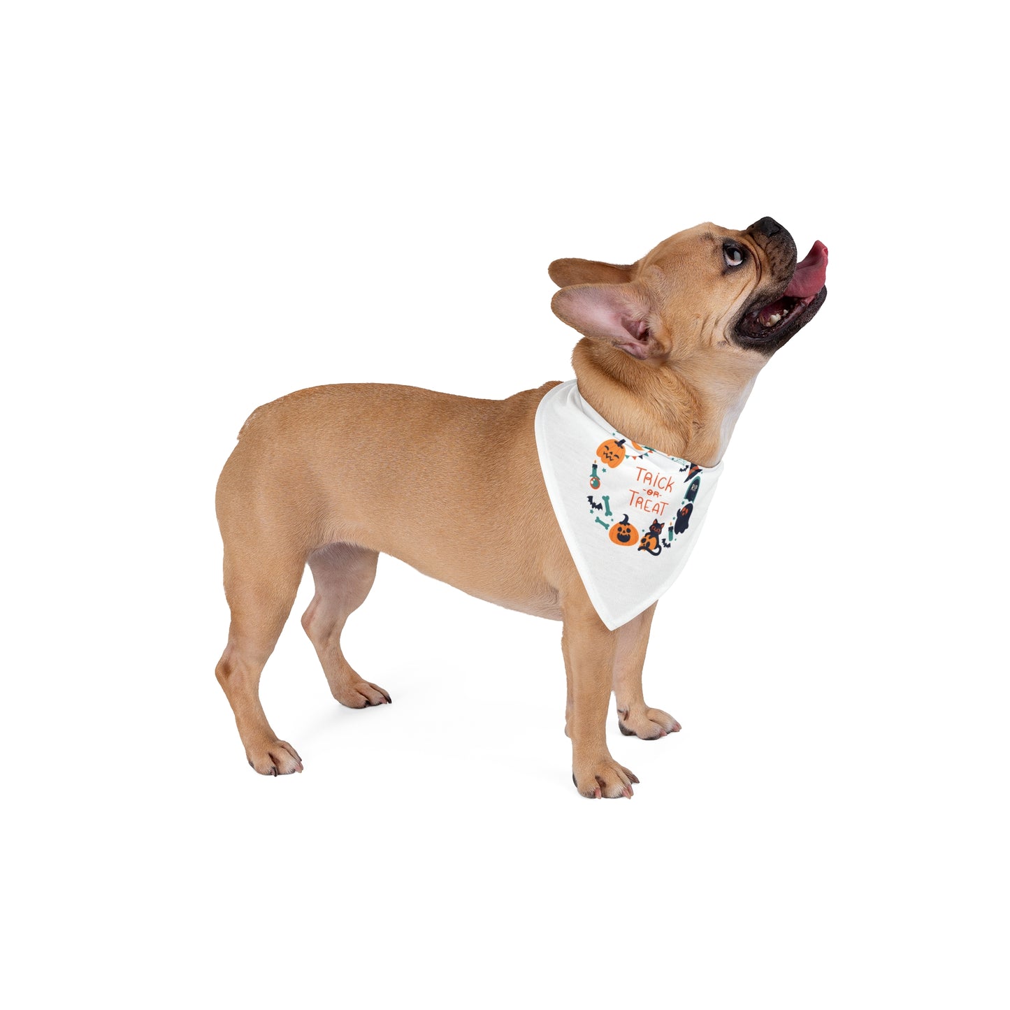 Bandana de Halloween para mascotas